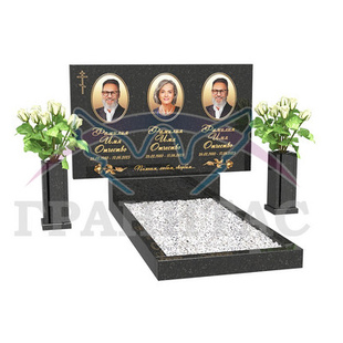 ГЕ-1 - описание