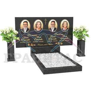 ГЕ-1 - описание