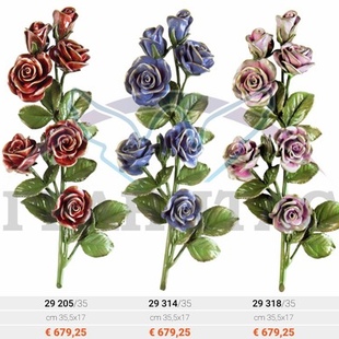 Розы - описание