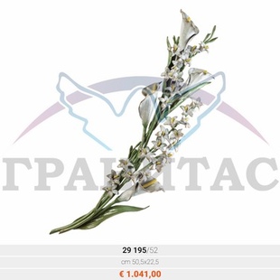 Каллы - описание