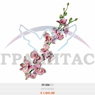 Орхидея - описание