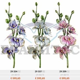 Орхидея - описание