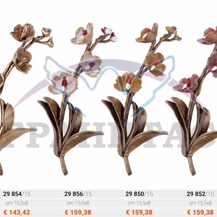 Цветы - описание