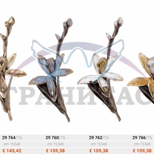 Цветы - описание