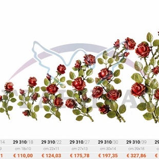 Цветы - описание