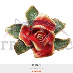 Цветок - описание