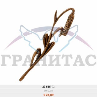 Цветы - описание