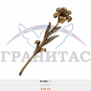 Цветы - описание