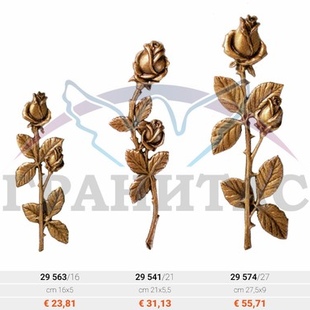 Цветы - описание