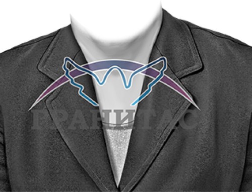 Одежда Ж1 - фото