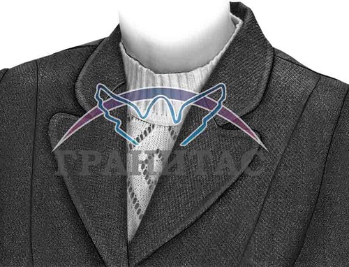 Одежда Ж38 - фото