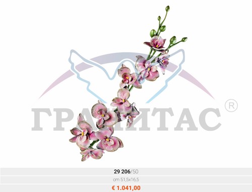 Орхидея - фото