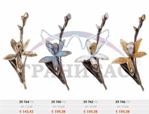 Цветы - фото