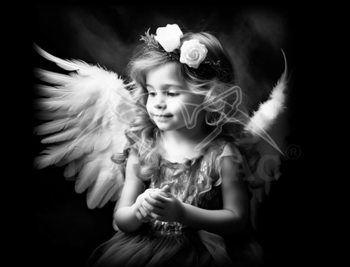 Пример 56 Ангел - фото