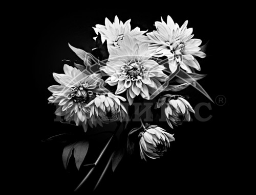 Пример 62 Цветы - фото