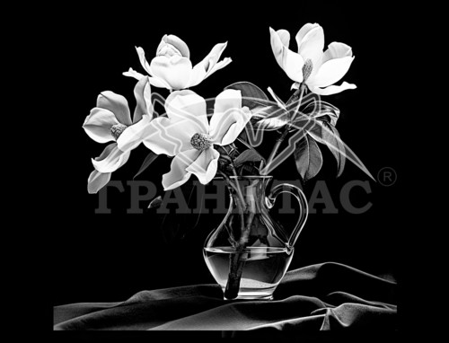 Пример 67 Цветы - фото