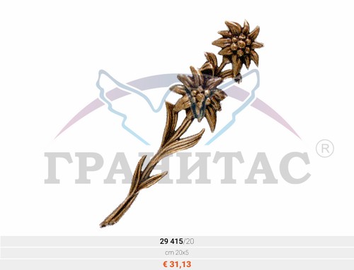 Цветы - фото