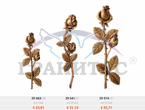 Цветы - фото