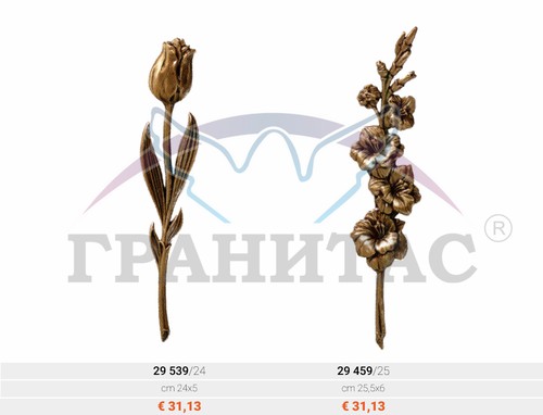 Цветы - фото