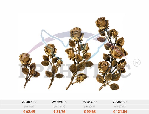 Цветы - фото