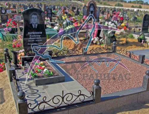 Пример 23 с оградой с элементами ковки - фото