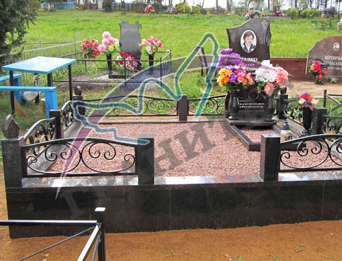 Пример 27 с кованым ограждением - фото