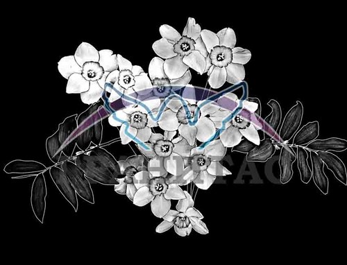 Пример 49 Нарциссы - фото